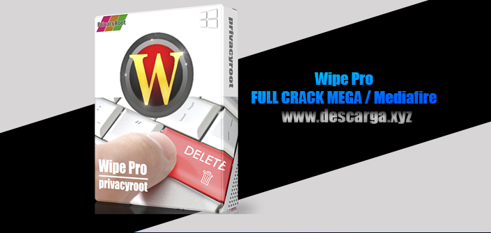 Wipe Professional 2023.06 free downloads